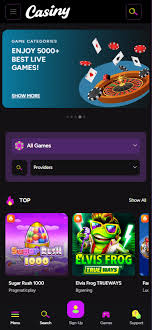 The Ultimate Guide to Casiny App Your One-Stop Solution for Online Gaming